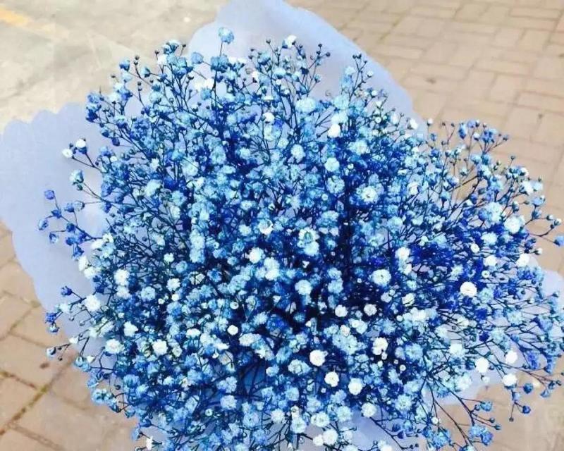 漫天星花语有何含义？