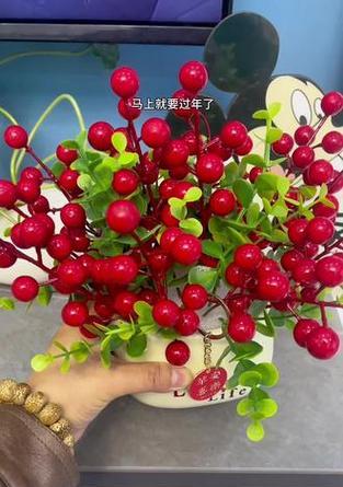 红果象征着什么？