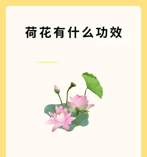 荷花还有哪些别名？
