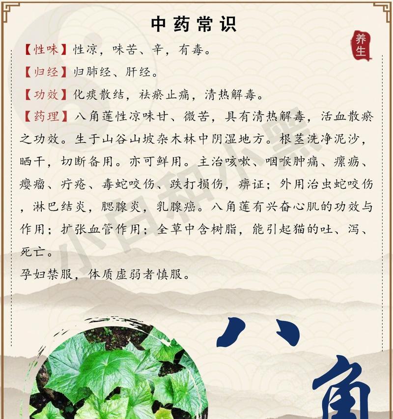 荷花还有哪些别名？