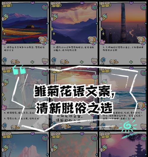 雏菊有哪些种类和花语？