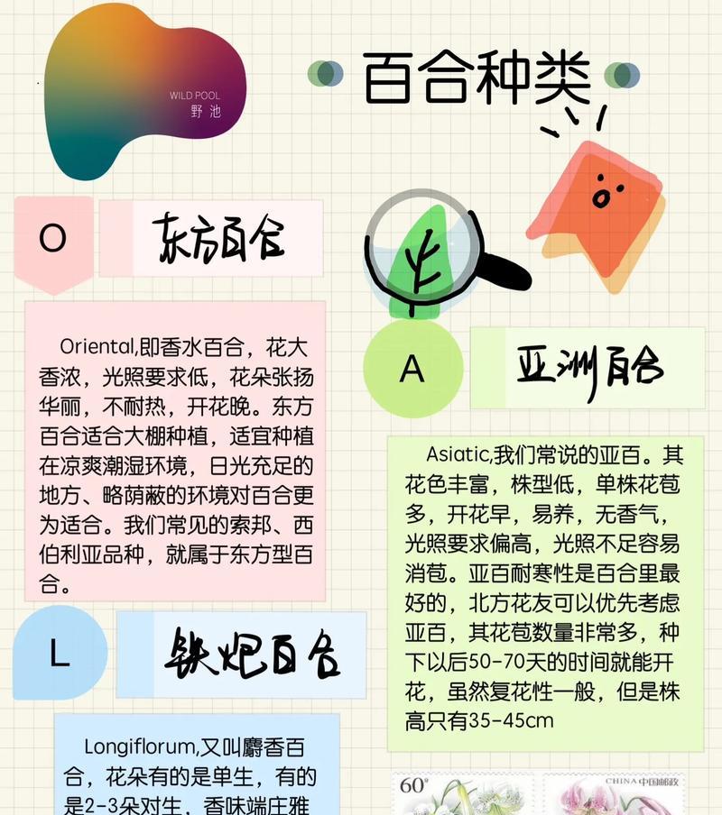 百合花是怎么繁殖的？有哪些繁殖方法？