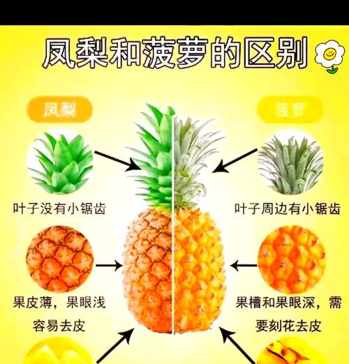 凤梨分株的方法是什么？