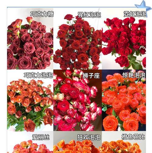多头玫瑰品种有哪些？哪种多头玫瑰最适合送礼？