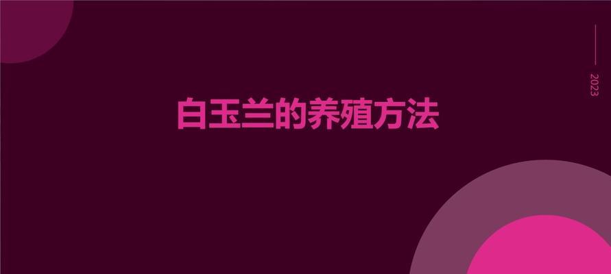 白玉兰养殖需要注意哪些问题？