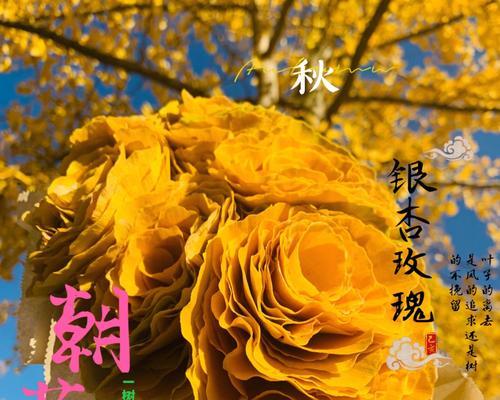 银杏树的花是什么样子的？