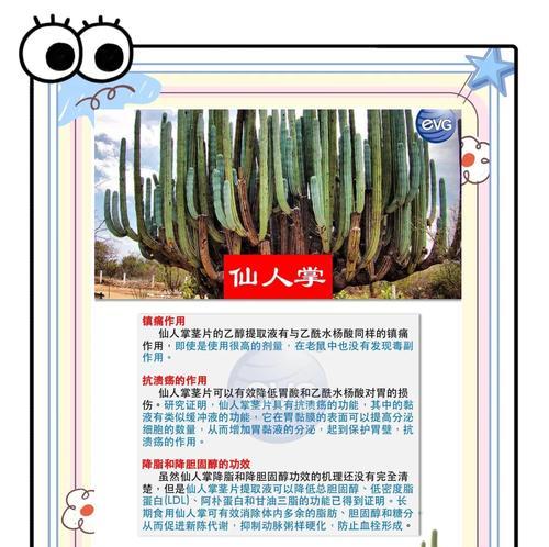 仙人掌属于什么科？仙人掌的生长环境是什么？