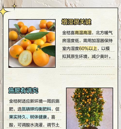 金桔施肥的最佳时机是什么时候？如何正确施肥促进金桔生长？