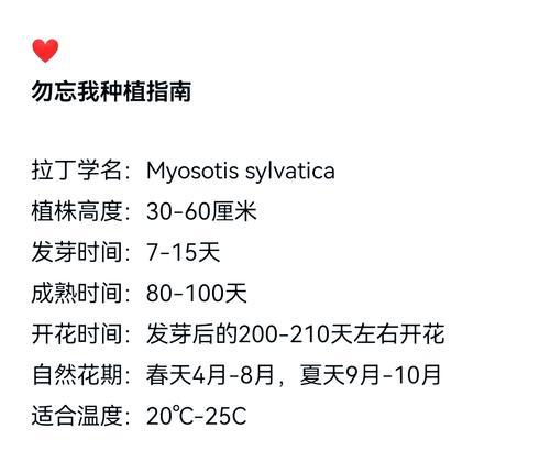 勿忘我盆栽的养护要点有哪些？