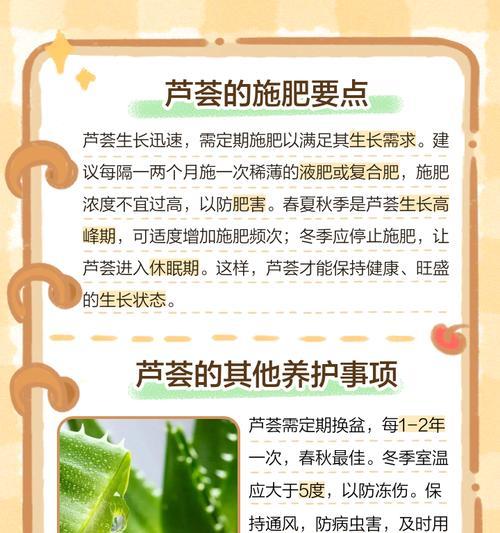夏季芦荟的养护方法是什么？