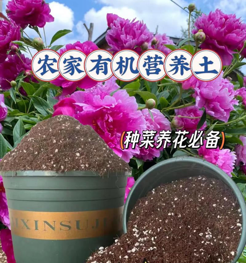 哪种土壤最适合养花？养花用土的选购技巧是什么？