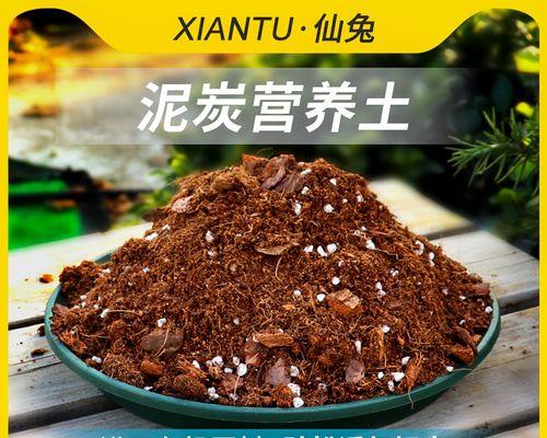 哪种土壤最适合养花？养花用土的选购技巧是什么？