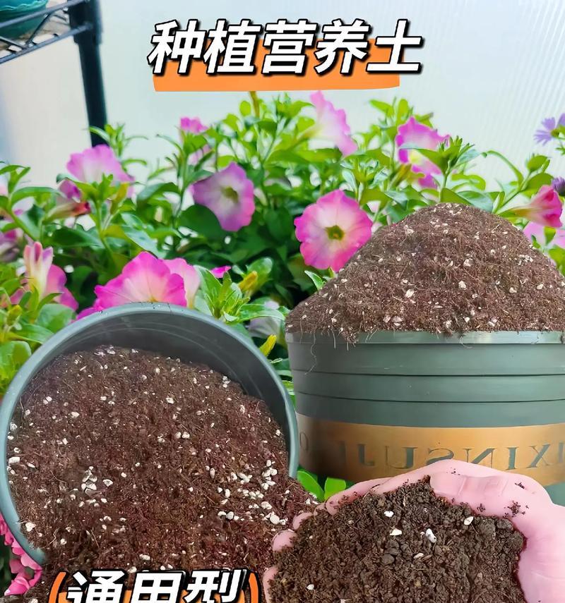 哪种土壤最适合养花？养花用土的选购技巧是什么？