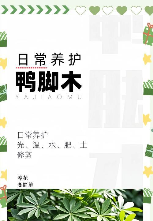 鸭脚木繁殖的正确方式有哪些？