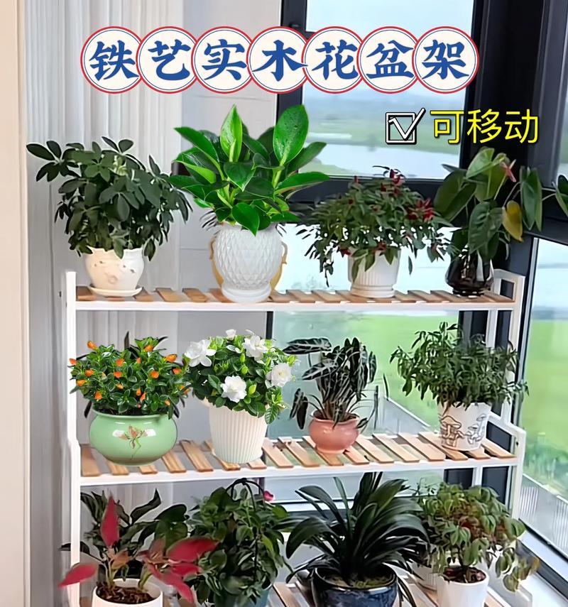 哪种花盆最适合养花？如何选择合适的花盆？