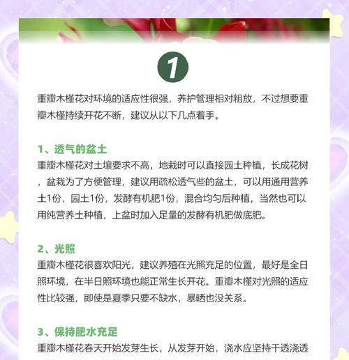 木本花种类有哪些？它们的养护要点是什么？