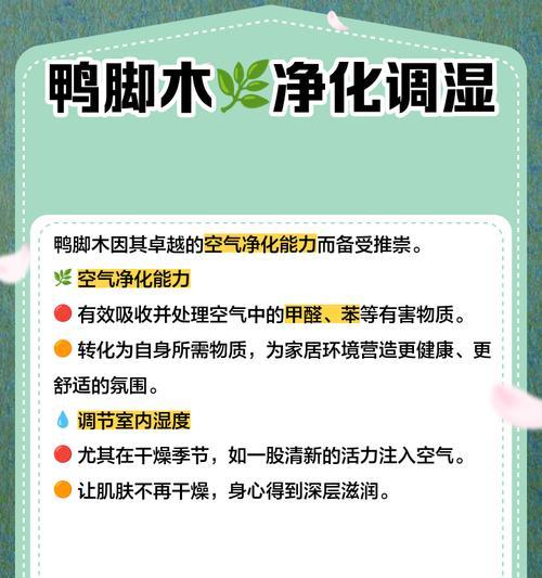 鹅掌柴虫害的防治措施有哪些？