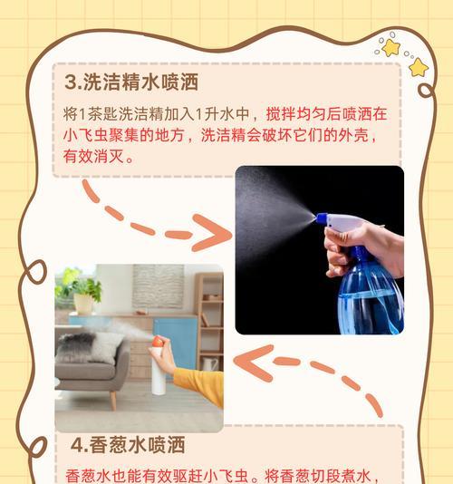 植物出现小飞虫怎么处理？有哪些防治方法？