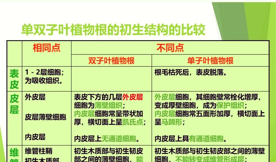 哪些植物可以通过茎繁殖？用茎繁殖的植物有哪些？