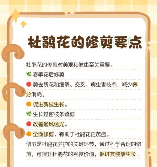 杜鹃花种植需要注意哪些事项？
