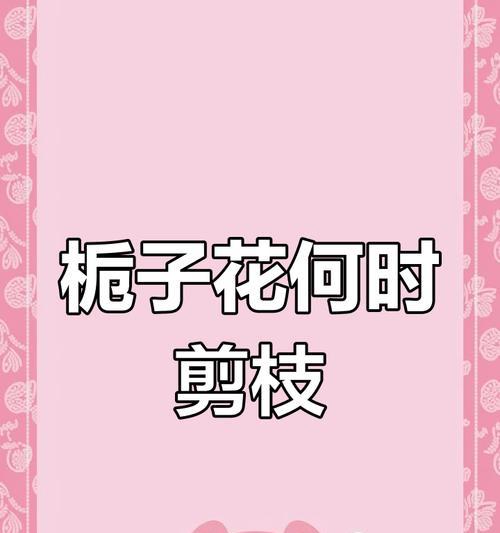 栀子花修剪的最佳时机是什么时候？怎样修剪才能促进开花？
