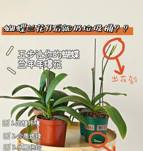 花叶蔓繁殖方法是什么？怎样快速繁殖花叶蔓？