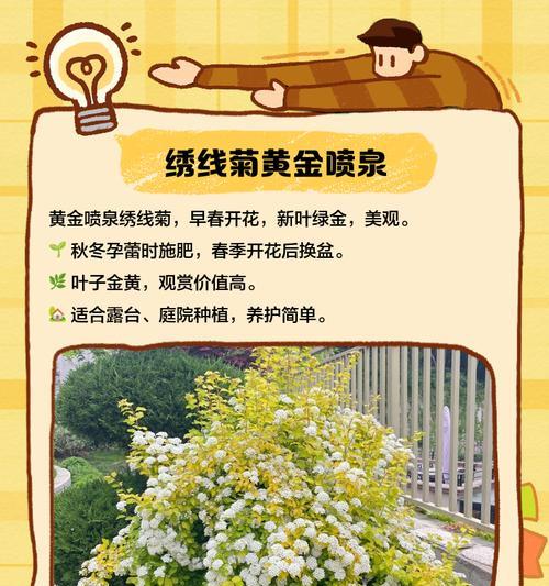 耐寒树有哪些？耐寒树的种植和养护方法是什么？