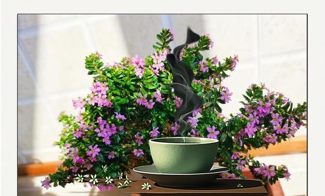 满天星养护的秘诀是什么？