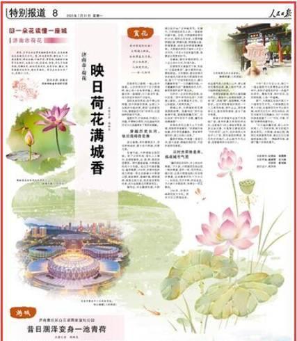 荷花是哪个城市的市花？