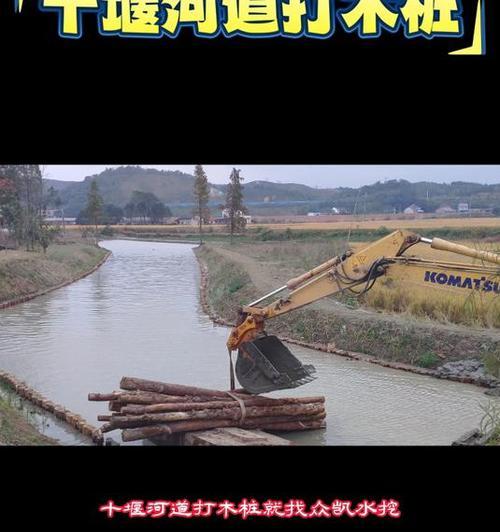 树桩挖掘的最佳时机和技巧是什么？