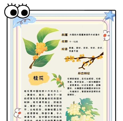 桂花树的养护要点有哪些？